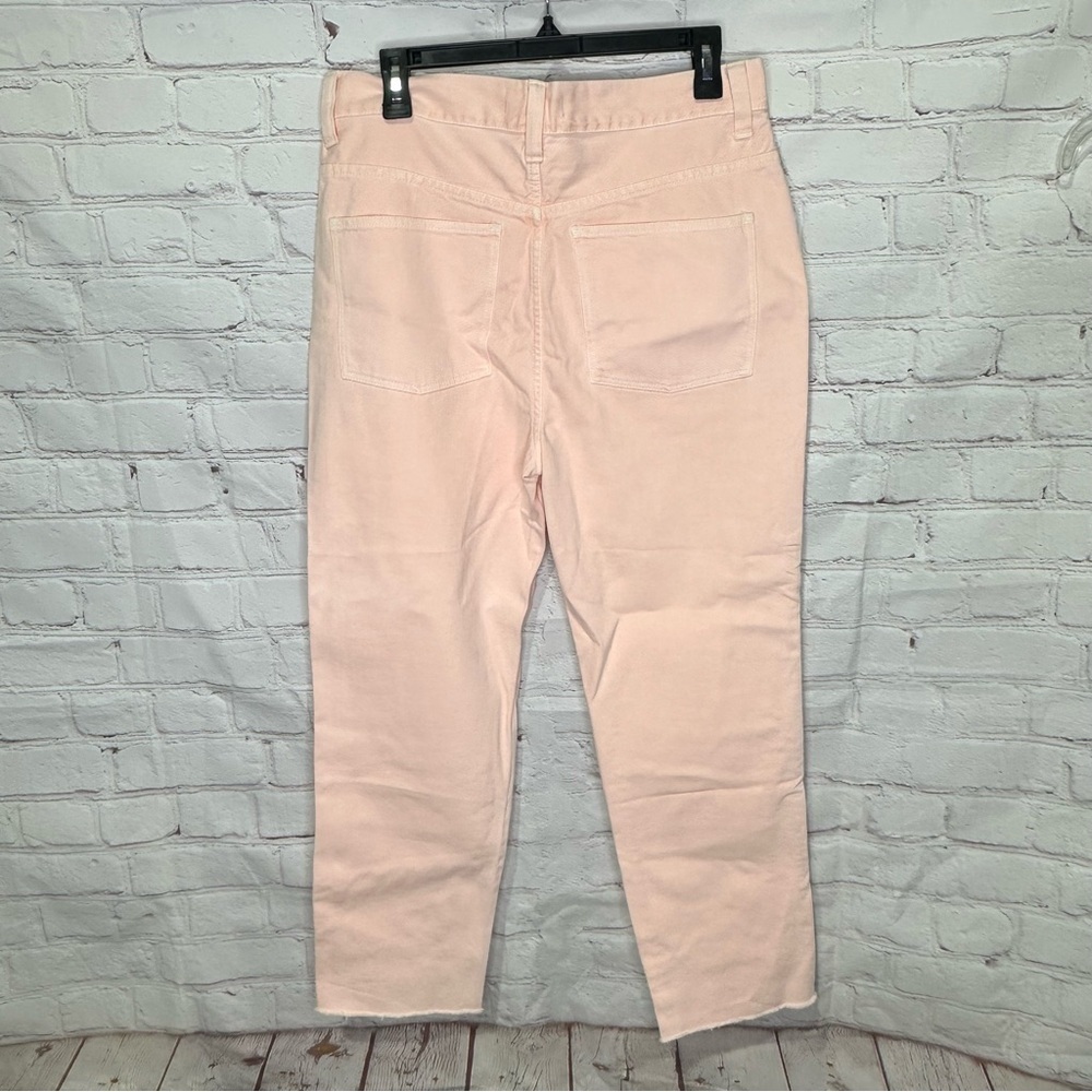 Madewell Garment-Dyed Straight-Leg Jeans in Faded Coral - Picture 8 of 13